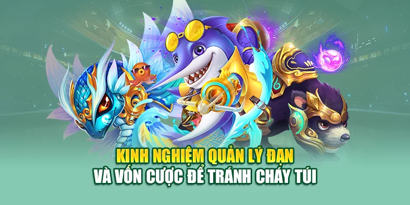 Kinh nghiệm quản lý đạn và vốn cược để tránh cháy túi