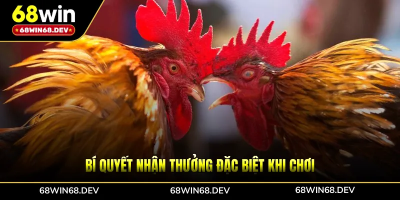 Bí quyết nhận thưởng đặc biệt khi chơi