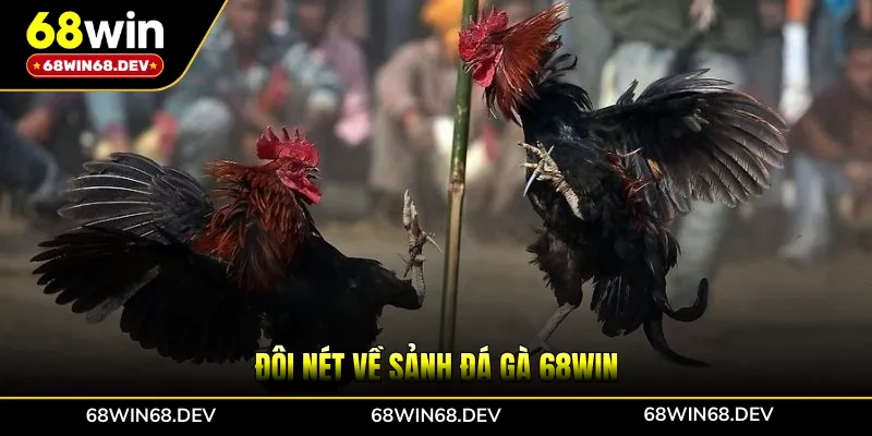Đôi nét về sảnh đá gà 68WIN
